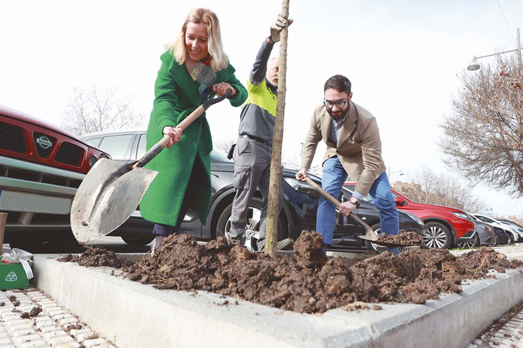 El Ayuntamiento de Alcobendas impulsa la reforestación plantando 1.773 nuevos árboles en la ciudad