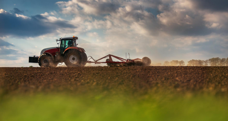 La Comunidad de Madrid adelantará más de 10 millones de euros a 2.800 agricultores y ganaderos como anticipo de la PAC 