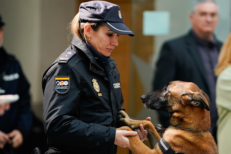 La Comunidad de Madrid acoge la presentación de la campaña 'Adopta un Héroe de 4 Patas'