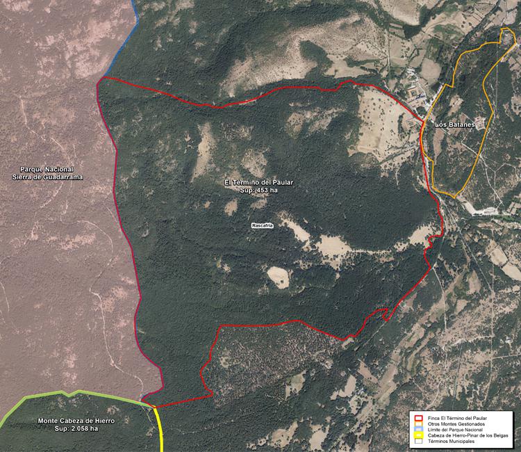 La Comunidad de Madrid amplía el Parque Nacional de la Sierra de Guadarrama comprando 453 hectáreas de gran valor ecológico en El Paular