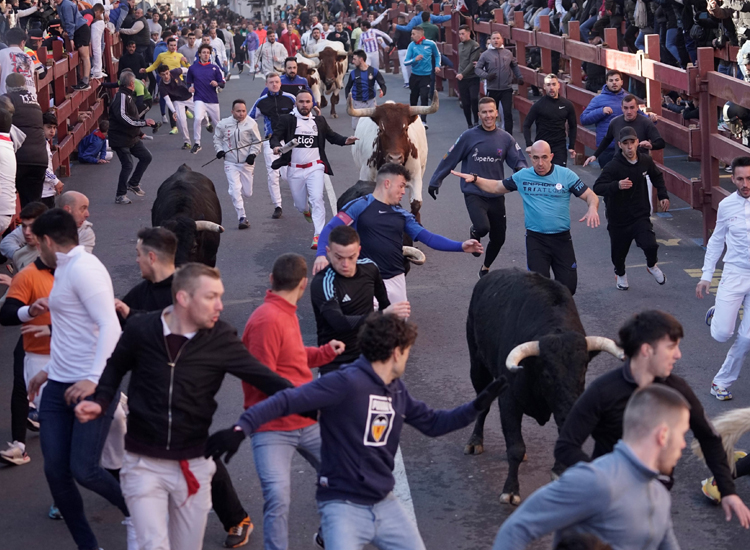 Ante el éxito, a todos los niveles, de “Los Encierros Blancos” de San Sebastián de los Reyes está claro que han venido para quedarse