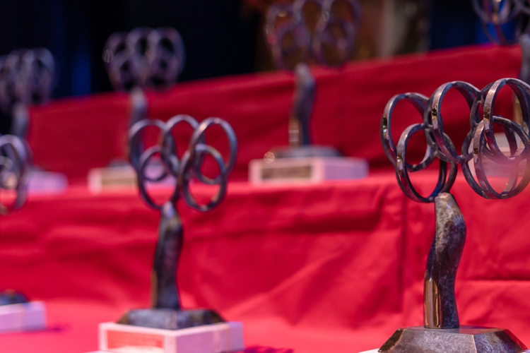 Los Premios del Deporte de San Sebastián de los Reyes se entregarán en el salón de plenos, el espacio de mayor solemnidad de la ciudad